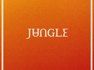 Jungle - Back On 74