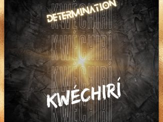 Determination - Kwechiri