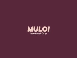 Leemckrazy & QuayR - Muloi ft. Pushkin RSA