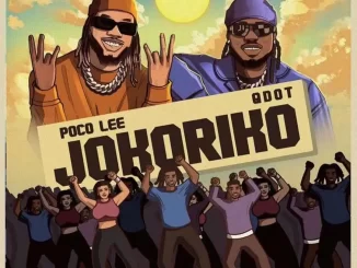 Poco Lee - Jokoriko ft. Qdot