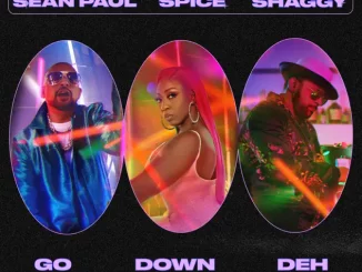 Spice - Go Down Deh ft. Sean Paul & Shaggy