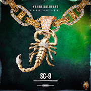 Yahir Saldivar - SC-9 (La Chimichanga)