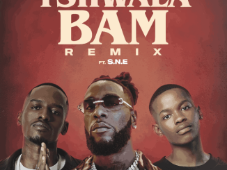 TitoM, Burna Boy & Yuppe - Tshwala Bam (Remix) ft. S.N.E