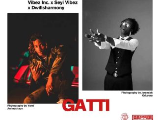 Vibez Inc - Gatti ft. Seyi Vibez & Dwillsharmony